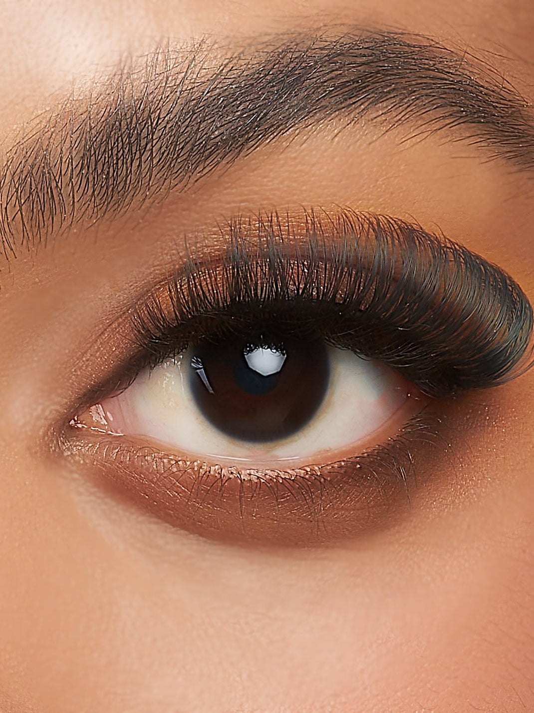 Stunner Best Eyelash Extension false Lashes, front side