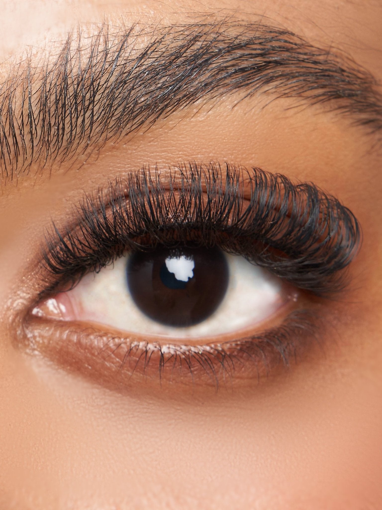 The One the best false eyelashes for all eye shapes, front side