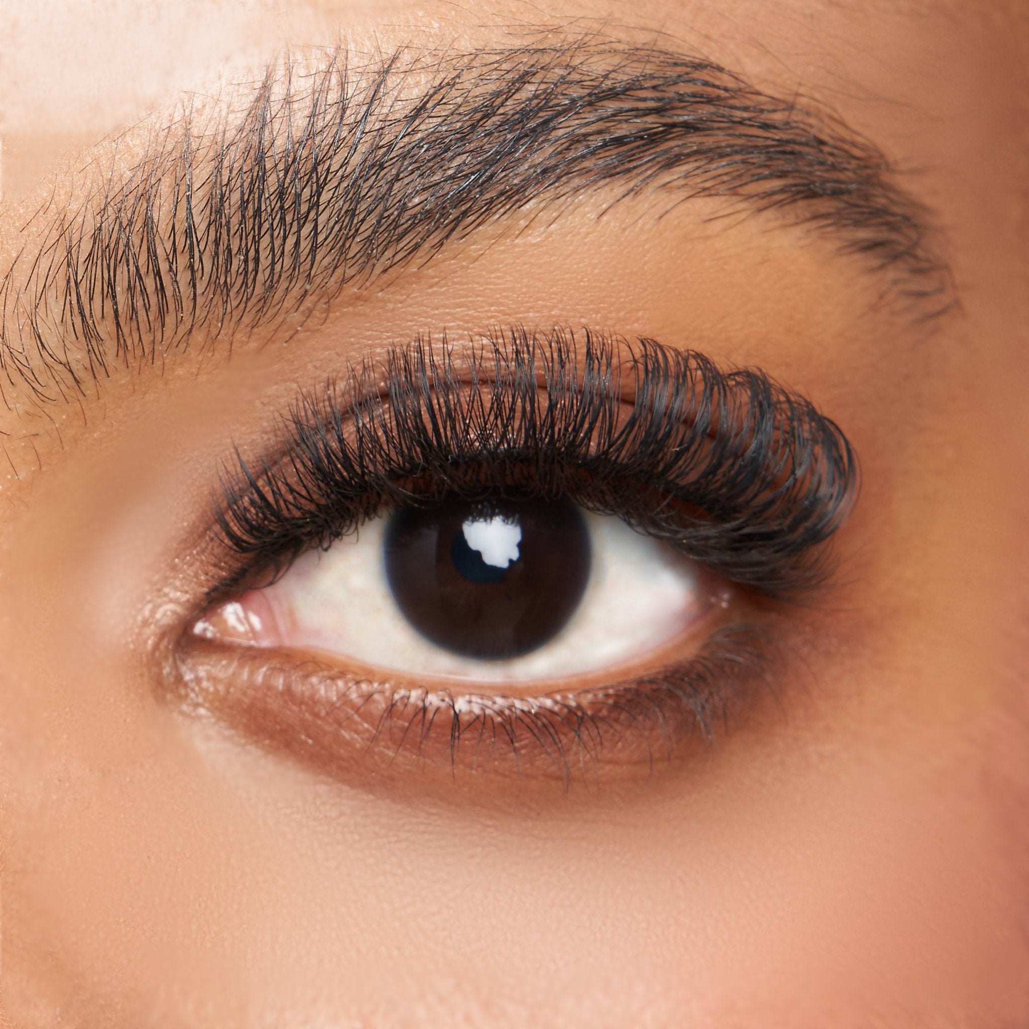 The One the best false eyelashes for all eye shapes, front side