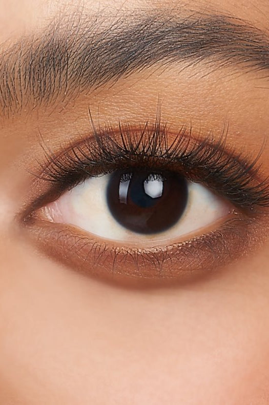 Show Stopper the best cluster lashes, front side