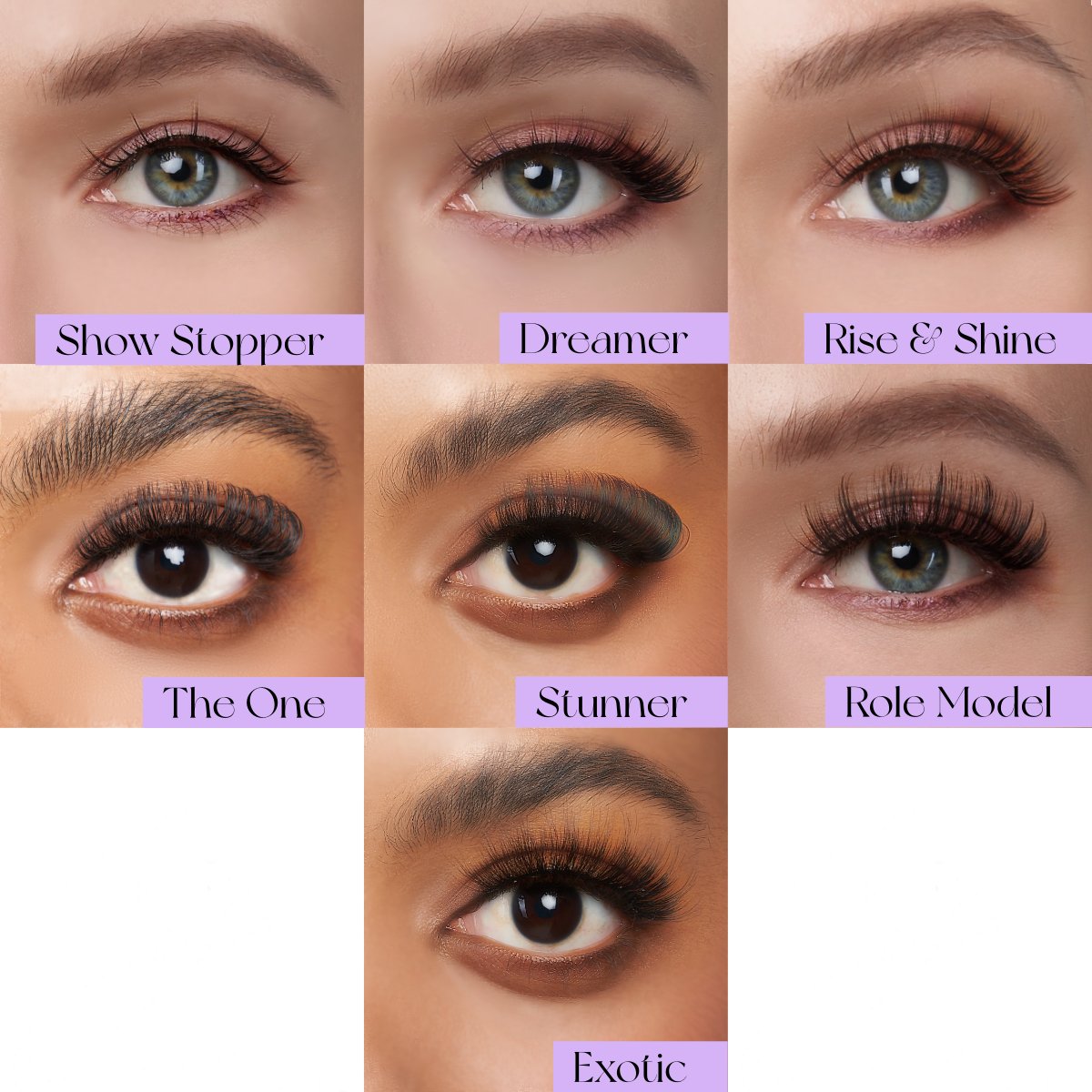 All in One - MissMeCoLashes